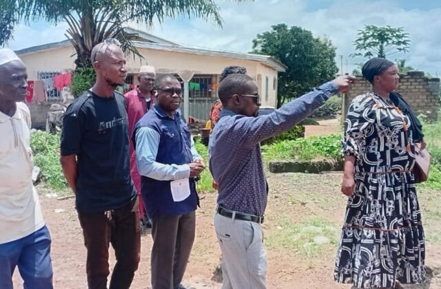 Marché des Agrumes de Zimodou : visite de terrain en vue d’implanter une chambre froide agricole